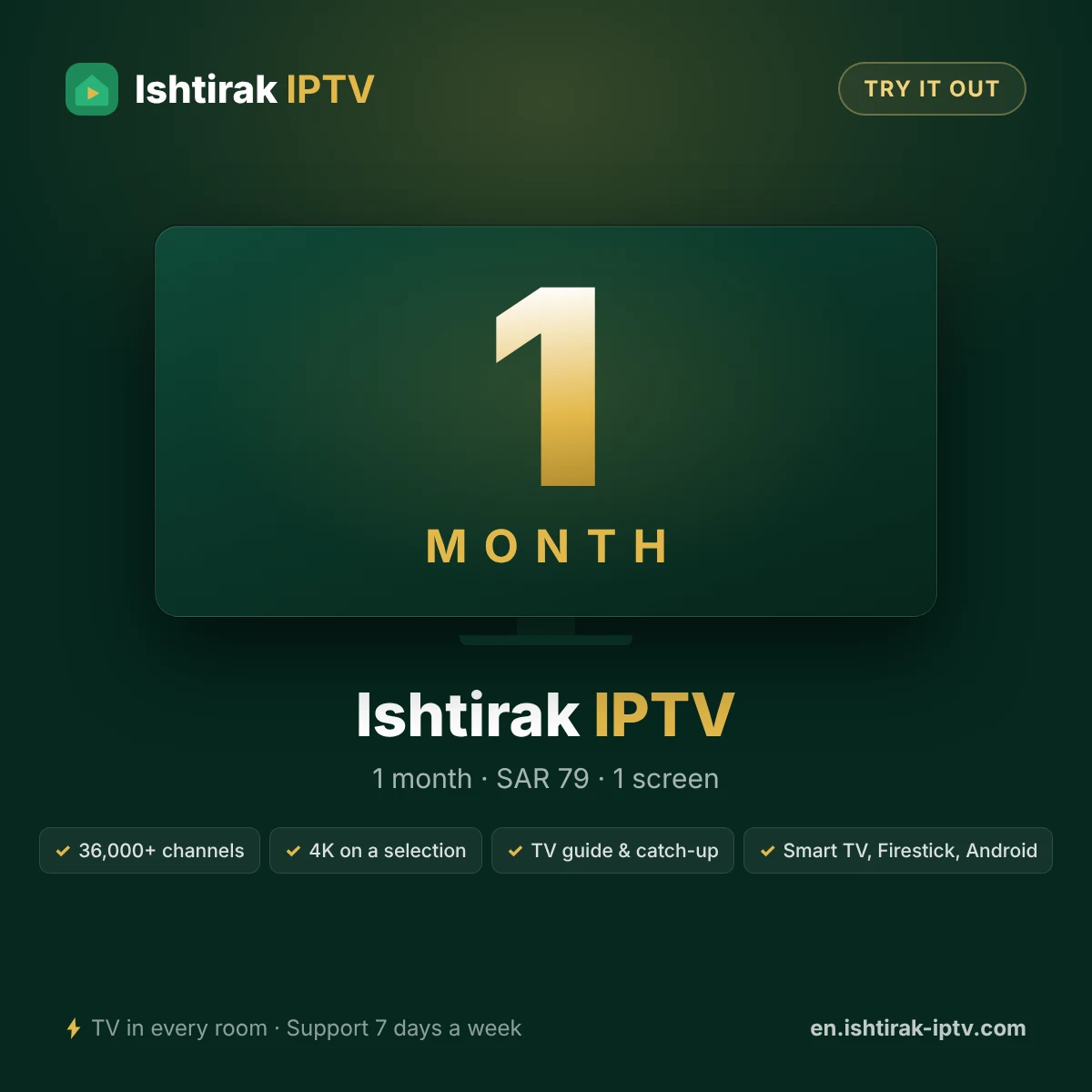 Ishtirak IPTV 1 Month – 1-Screen IPTV Subscription – Ishtirak IPTV image